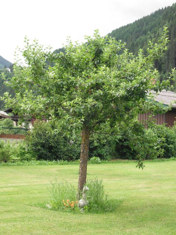 Haus Christophorus Daire Bad Gastein Dış mekan fotoğraf
